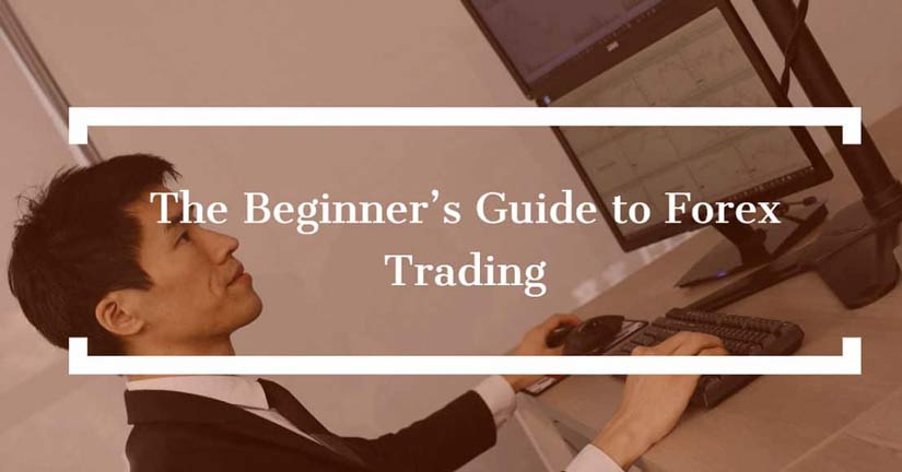 A Beginner’s Guide to Forex Trading Strategies
