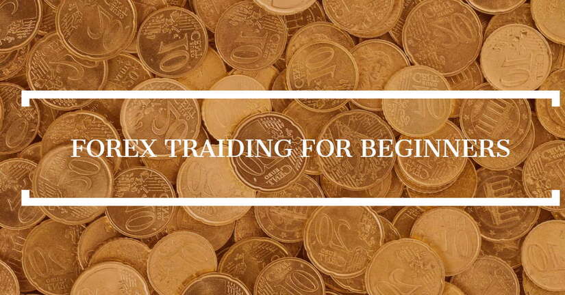 The Beginner’s Guide to Forex Trading