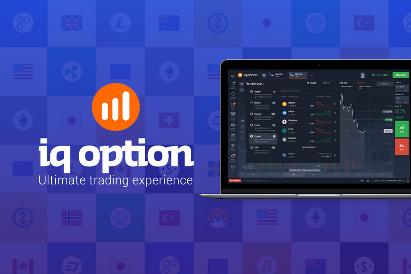 IQ Option Overview